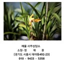 해울떡