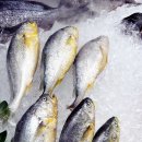 롯데마트 김포공항점 이미지