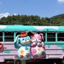 엠씨와이(MCY)캠프 이미지