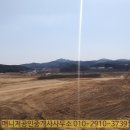 수청2지구 소나무 이미지