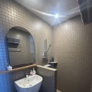 스테이 호자 이미지