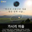 가시리마을 이미지