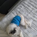 포산동물병원 이미지