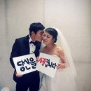 비비드플랜