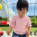 담양공방 | 담양 딸기체험 추천, 아이와 가기 좋은 딸기공방