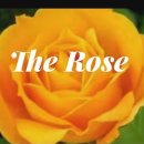 The Rose/베티 미들러 이미지