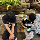 석가네사천돼지국밥 이미지