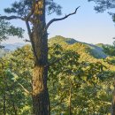 대성삼거리 이미지