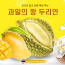 코코두리안