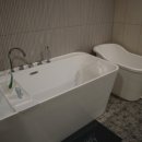 숲속세신 이미지