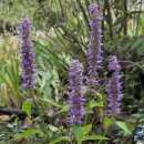 신구대학교 이미지