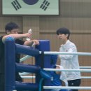 금광중학교 | [동탄복싱]2025 경기도교육감기 복싱대회 뒷이야기[카운터복싱]