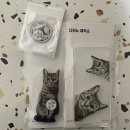 세모케이스 이미지