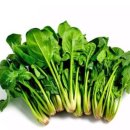 그린푸드 이미지