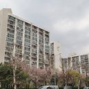 노원-상계-2654 이미지