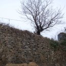 회령진성공원 이미지