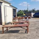 일도초등학교 병설유치원 이미지