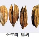 신의 젖줄 | 풍류주와 구천하감주4-부루단지 부풀리기