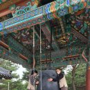 로드FC 가좌짐 | 혼자 떠난 우아한 올쓰의 낙산사 템플스테이 야무진 1박 2일 (주차, 공양, 기도&amp;일출)