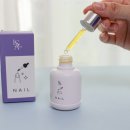 르사(LSA) 이미지