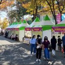 국화축제장 입구 이미지