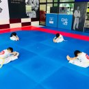 용인대다옴태권도장 이미지