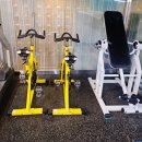 보석사우나 헬스장 이미지