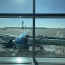 921 | 대한항공 인천 리스본 직항 KE921 엑스트라레그룸 후기 좌석, 기내식
