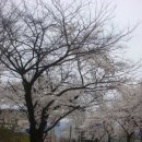 단구로2 이미지