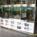 대전만년초등학교 이미지