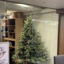 삼두1 | 학동역 헬스장, mk휘트니스 이두, 삼두, 등 운동 5-6회차 pt 후기