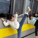 용인대 국가대표 해들 태권도 이미지