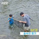 숲속의향기 | 담양 계곡 평상 맛집 숲속의 향기에서 물고기잡이