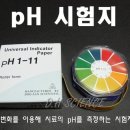 리트머스 시험지 이미지