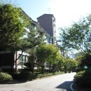 야탑로231번길 이미지