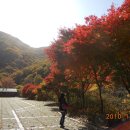 김명자굴국밥전문점 이미지