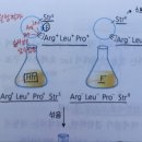 [2024심화/통합] 2권 13장 바이러스 및 원핵생물의 분자생물학 p.315 유전자 맵핑 이미지