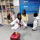 송원 태권도 이미지