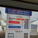 경강막국수 | 엘리시안 강촌 맛집 깔끔했던 메밀막국수 set
