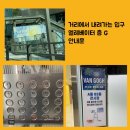 반 고흐 몰입형 체험 찾아가는 법 비전공자의 내맘대로 쓴 후기