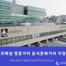 호매실벚꽃음식문화거리 이미지