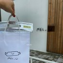 멜유(mel-u)