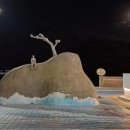 세파에 따르지 이미지