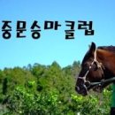 [제주도 여행/제주도 승마체험/중문승마클럽/승마배우기] 이미지