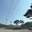 봉화로2 | [공지] [라운딩 후기] 벚꽃 흩날리는 포천 <포레스트힐CC> 명랑 골프 후기!