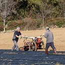 남서울농협종합시설 이미지