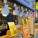 봉봉탕후루 | 제주• 제주동문시장 탕후루 맛집(봉봉탕후루): 제주초당옥수수아이스크림 아일랜드봉봉