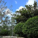 해수한식당 이미지