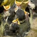 세이에너지 이미지