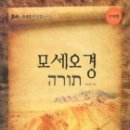 모세로 Daum카페